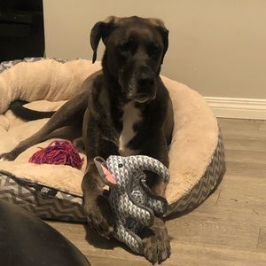 Meet your Posher, Keri